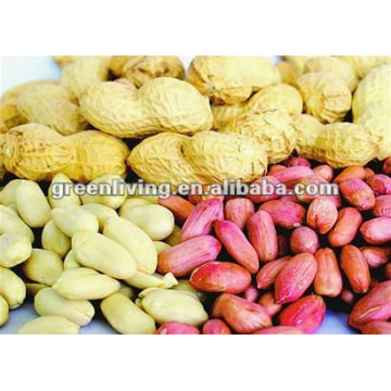 (nuts&kernels) peanut kernel direct supplier in china(35/40)